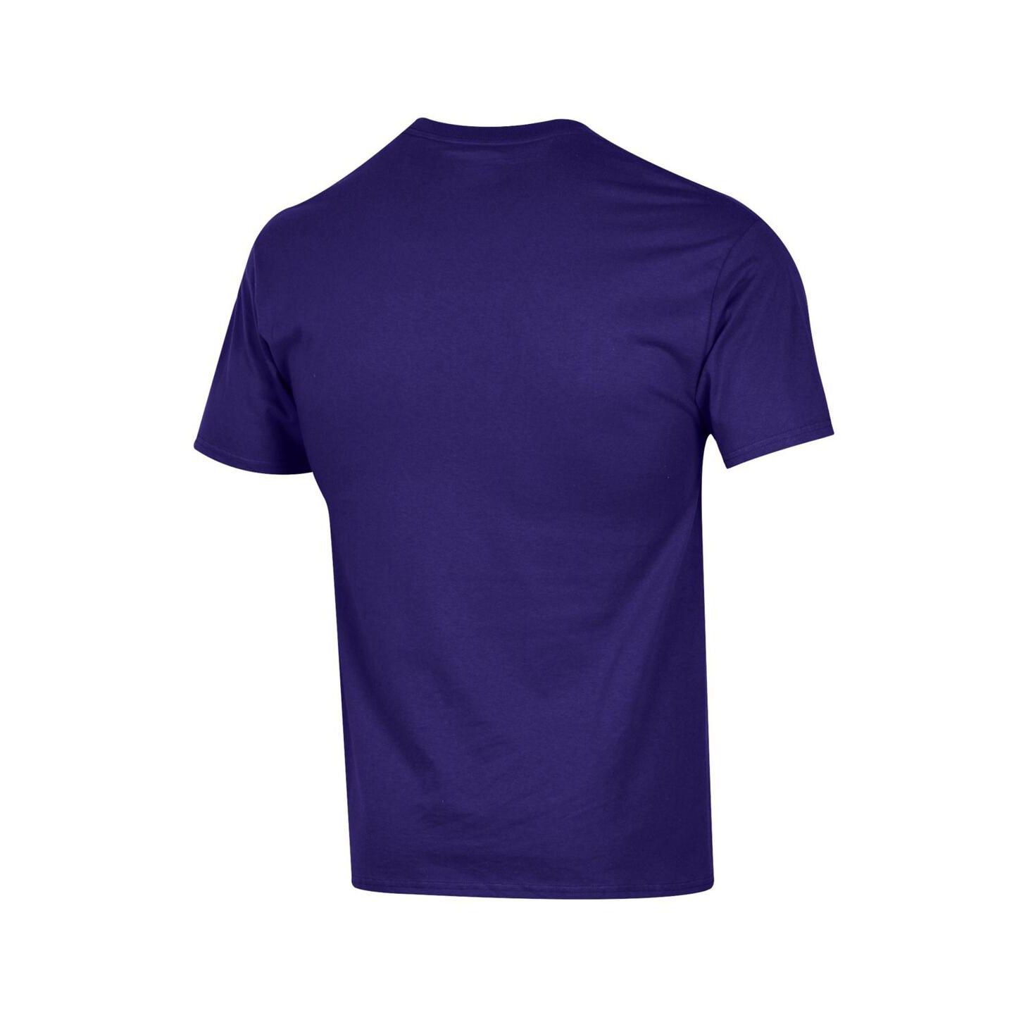 Мужская футболка Champion Purple ECU Pirates Arch Over Logo, цвет: Чёрный — фото 5
