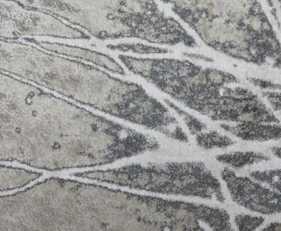 Astra 39L5F 5'x8' Area Rug