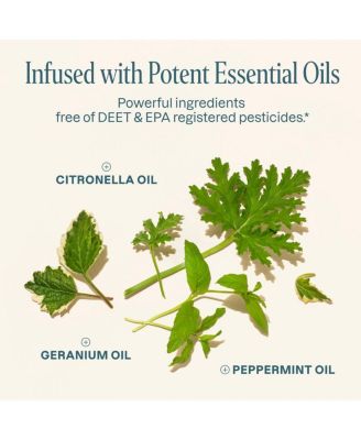 Mosquito Repellent Refillable Clip - 2PK & 4 Refills