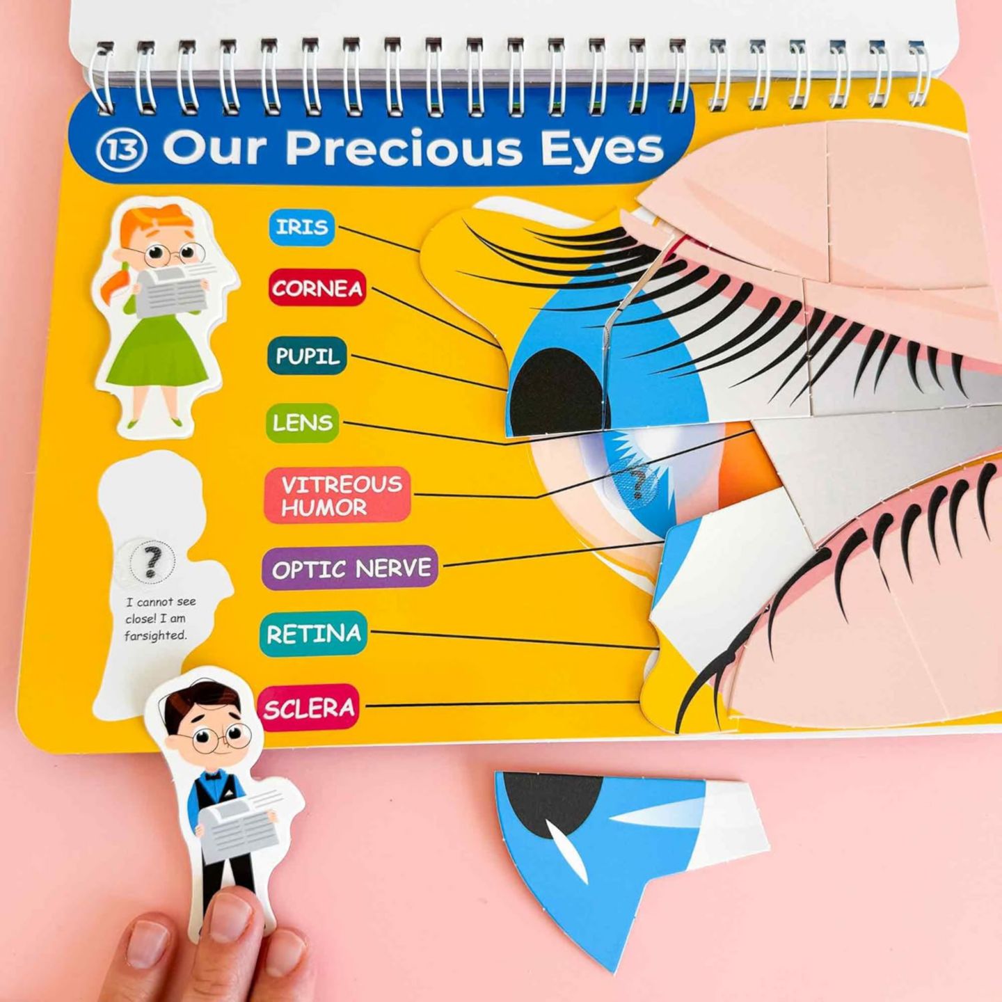 Детские игрушки Quokka Montessori Busy Book Interactive Pages, Ages 3+, цвет: Our Body — фото 7