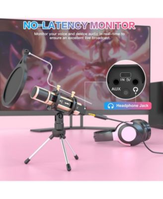 Studio Condenser Microphone with Stand, Built-in Sound Card, Echo Recording for Phone, PC, YouTube, Karaoke, Live Stream (Gold)