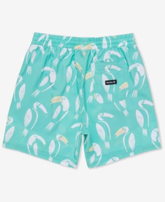 Men's Cannonball Volley Boardshorts