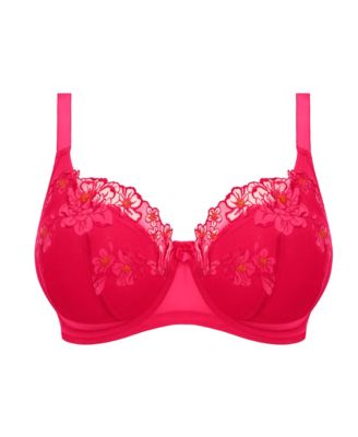 Plus Size Teagan Underwire Padded Half Cup Bra