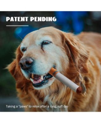 3 Pack Chewport Refreshing Dog Squeaky Toys with a Box, Interactive Plush Toys