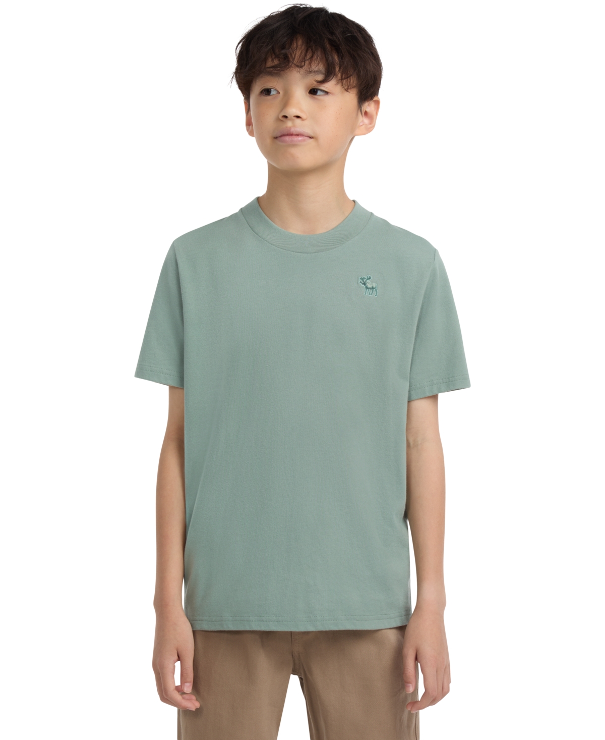 Abercrombie Boys Essential T-shirt In Green