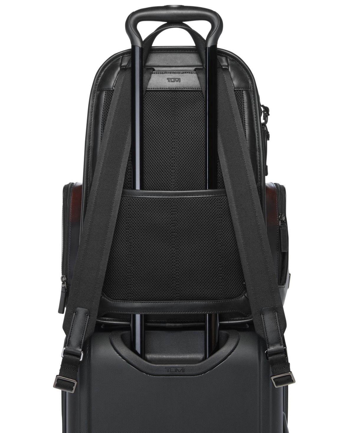 Tumi Men's Hadden Backpack In Brown