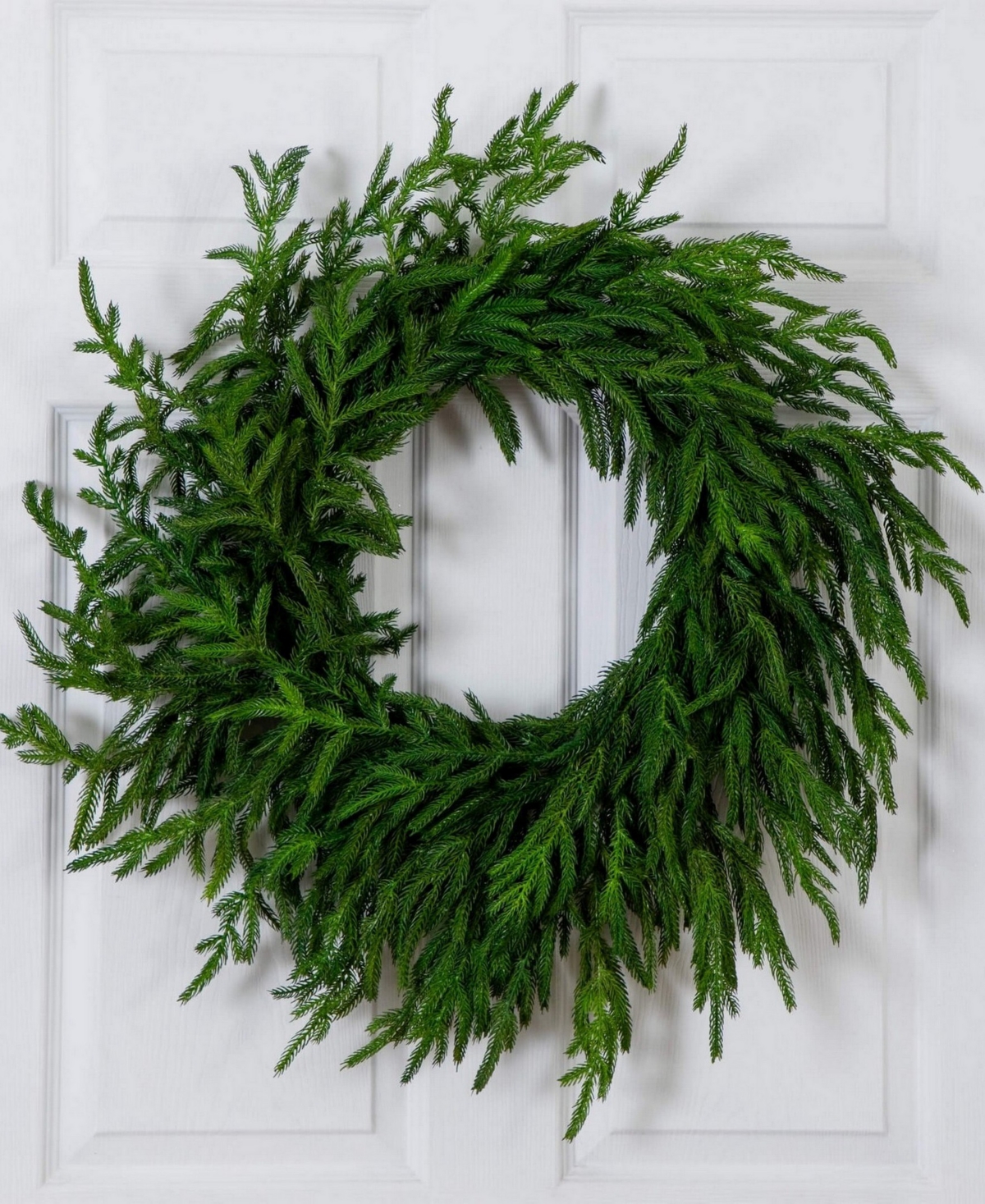 Nearly Natural 24" Artificial Touch Norfolk Island Pine Wreath With Natural Look In Green