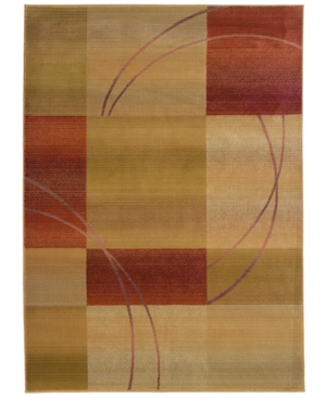 Oriental Weavers Area Rug, Generations 1608D Jayden 9' 9in x 12' 2in
