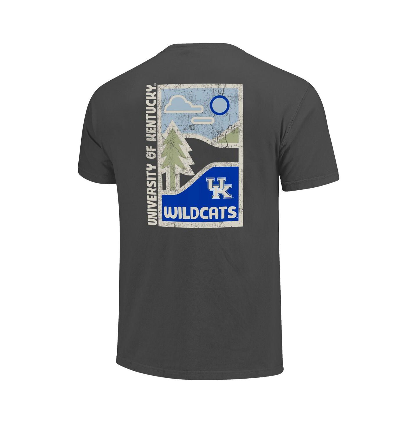 Мужская футболка Image One Graphite Kentucky Wildcats Comfort Colors Minimal Vista Distressed Graphics — фото 3