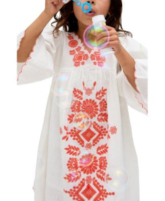 Arabella V- Neck Embroidered Dress