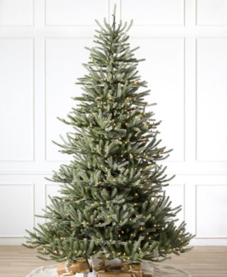 6 ft Pre-Lit Sanibel Spruce Tree