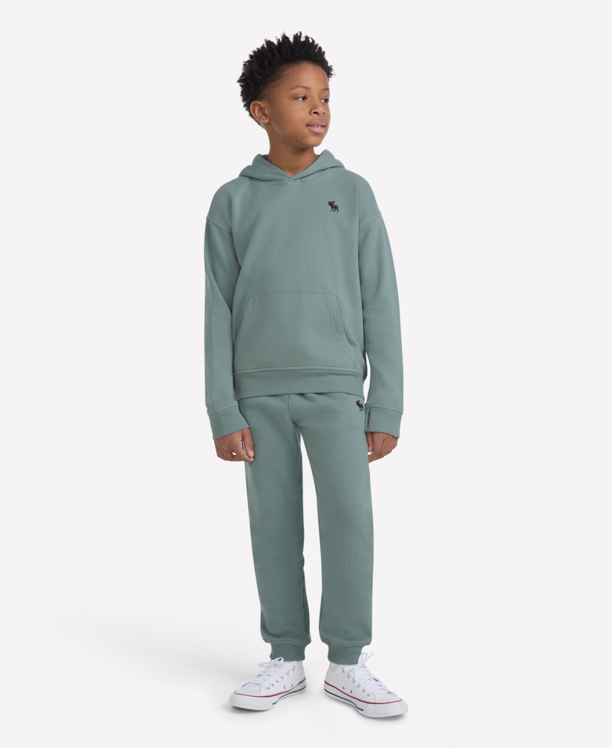 Abercrombie Boys Essential Fleece Pullover Hoodie In Green