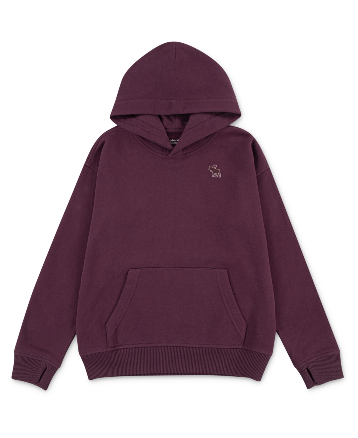 Abercrombie Boys Essential Fleece Pullover Hoodie In Brown