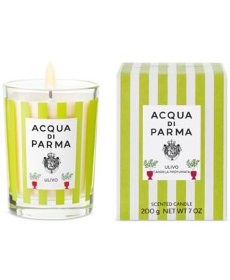 Ulivo Scented Candle, 7 oz.