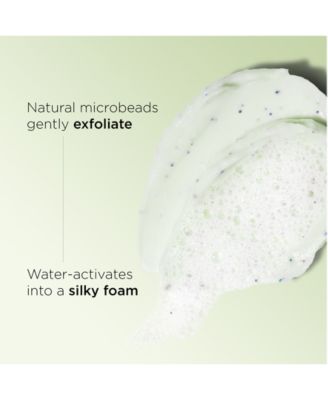 Purifying Gentle Foaming Face Cleanser, 4.2 oz.