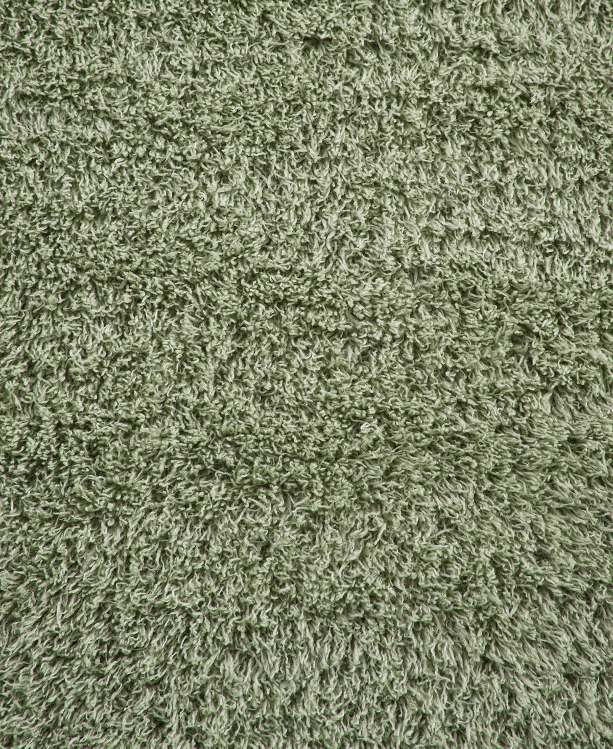 Premier Comfort Cozy Fluffy Throw Blanket, 50" X 60" In Green