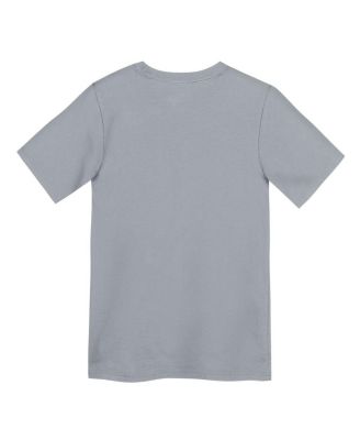 Preschool Gray Detroit Lions Icon Legend Performance T-Shirt