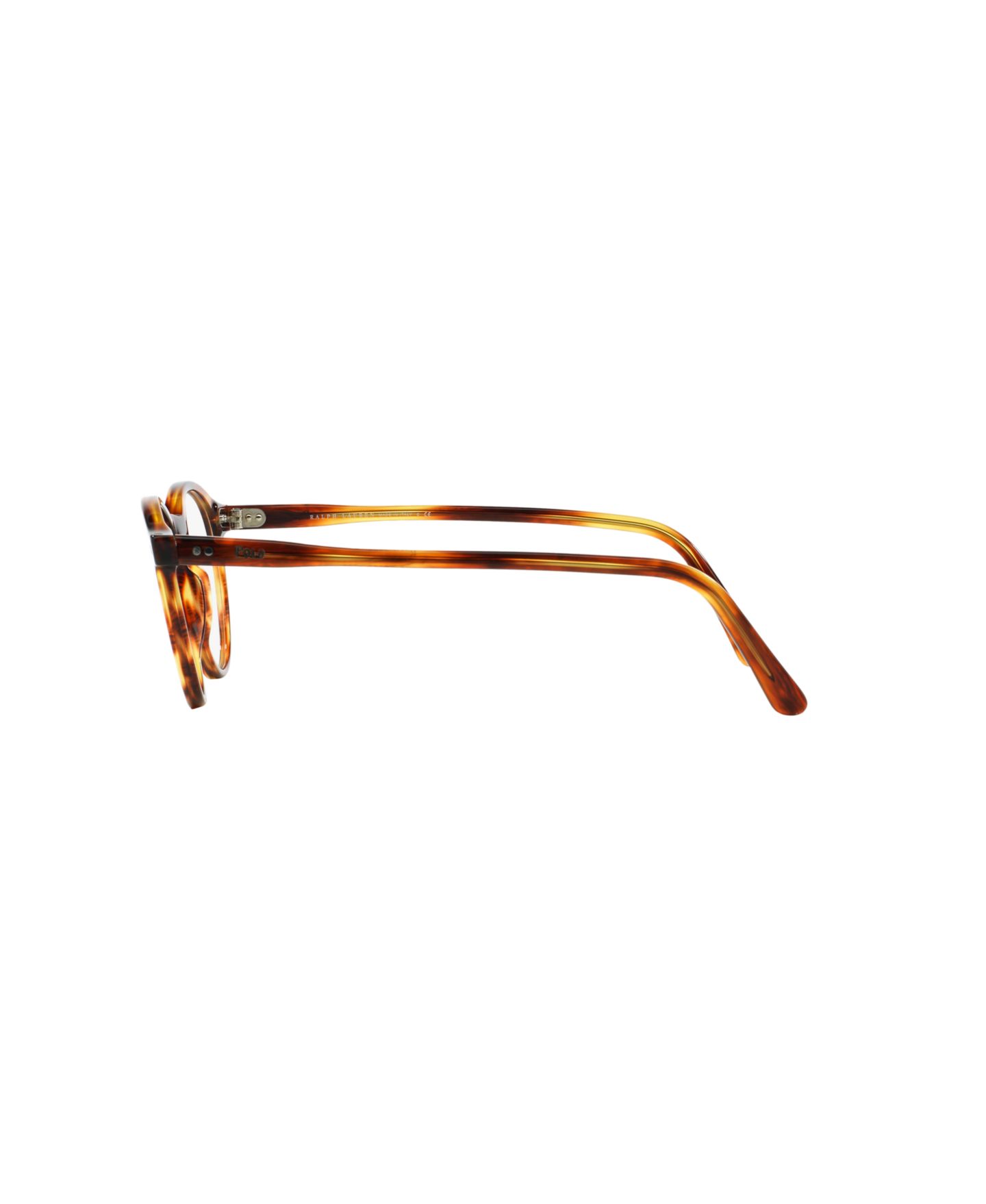Мужские очки Polo Ralph Lauren Man Panthos Plastic PH2083 Eyeglasses, цвет: Гавана — фото 3