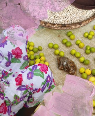 Bal d'Afrique Body Lotion, 7.6 oz.