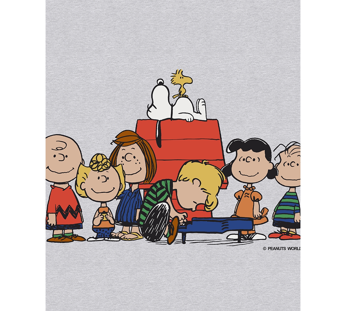 Hybrid Men's Long Sleeves Peanuts One Of The Gang Graphic T-shirt In Gray
