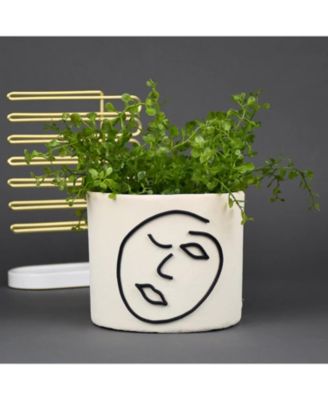 Original Clay: White - 8 lb