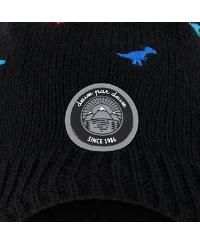 Boy Lined Winter Peruvian Knit Hat with Pompom Black - Toddler|Child