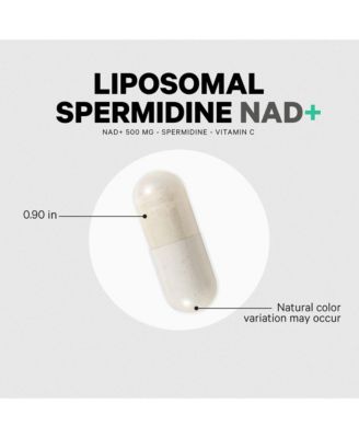 Liposomal Spermidine NAD+ Spermidine Supplement - 500 Mg NAD+ Vitamin C - Nicotinamide Adenine Dinucleotide Pills - 30 Capsules