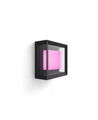 Hue White and Color Ambiance Econic Outdoor Wall and Ceiling Light