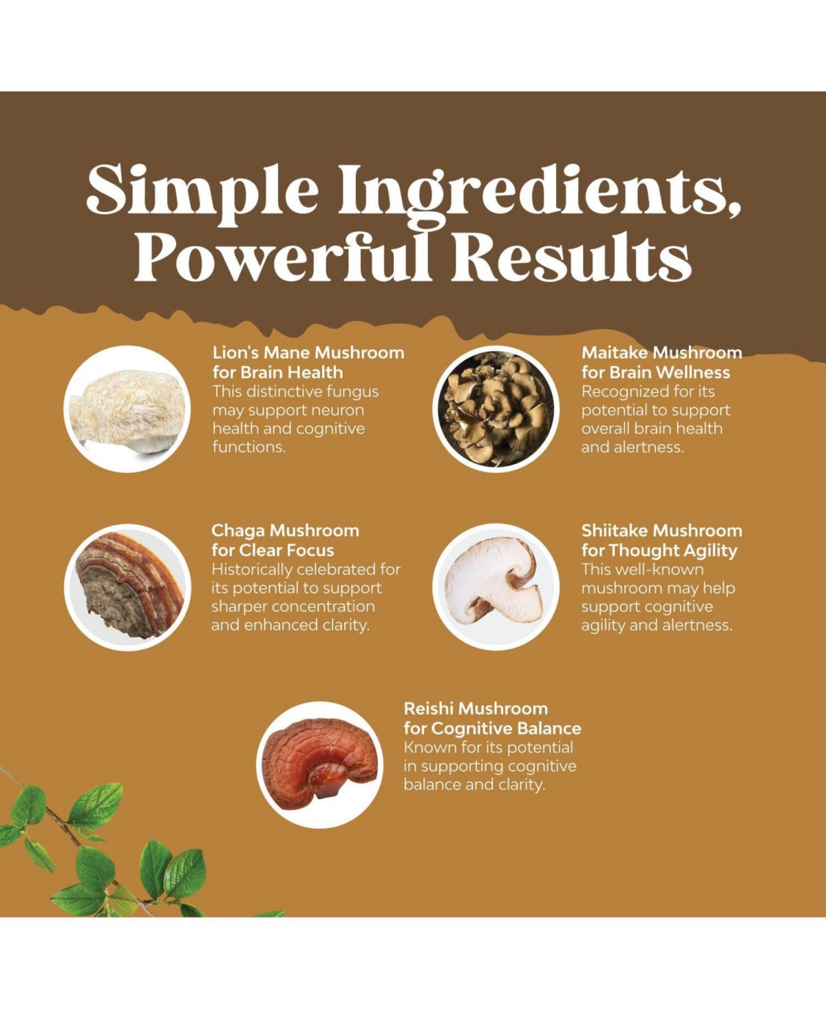 Nature's Craft Lion's Mane Complex Capsules, Brain Booster Nootropic Supplement with Chaga Maitake Shiitake and Reishi, Nature's Craft