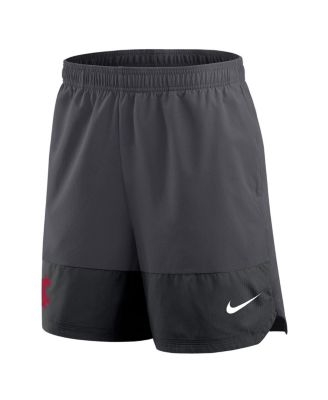 Men's Anthracite Washington State Cougars 2025 Sideline Performance Shorts
