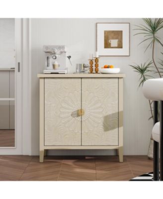 Storage Cabinet with 2 door