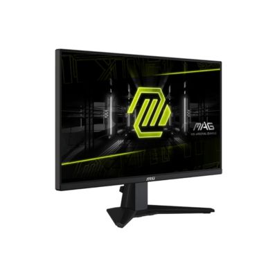 MAG 255XFV 24.5" 16:9 Full HD 250Hz VA LED HDR Gaming Monitor