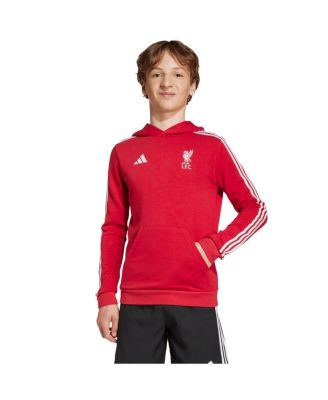 adidas - Big Boys and Girls Red Liverpool DNA Hoodie
