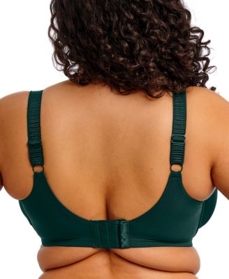 Plus Size Cate Allure Underwire Bra
