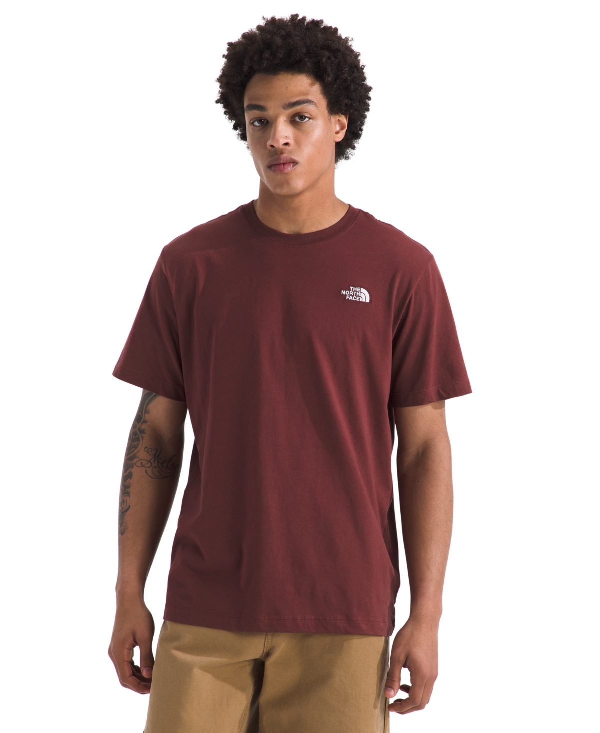 The North Face Men's Evolution Simple Dome Short Sleeve T-shirt In Brown