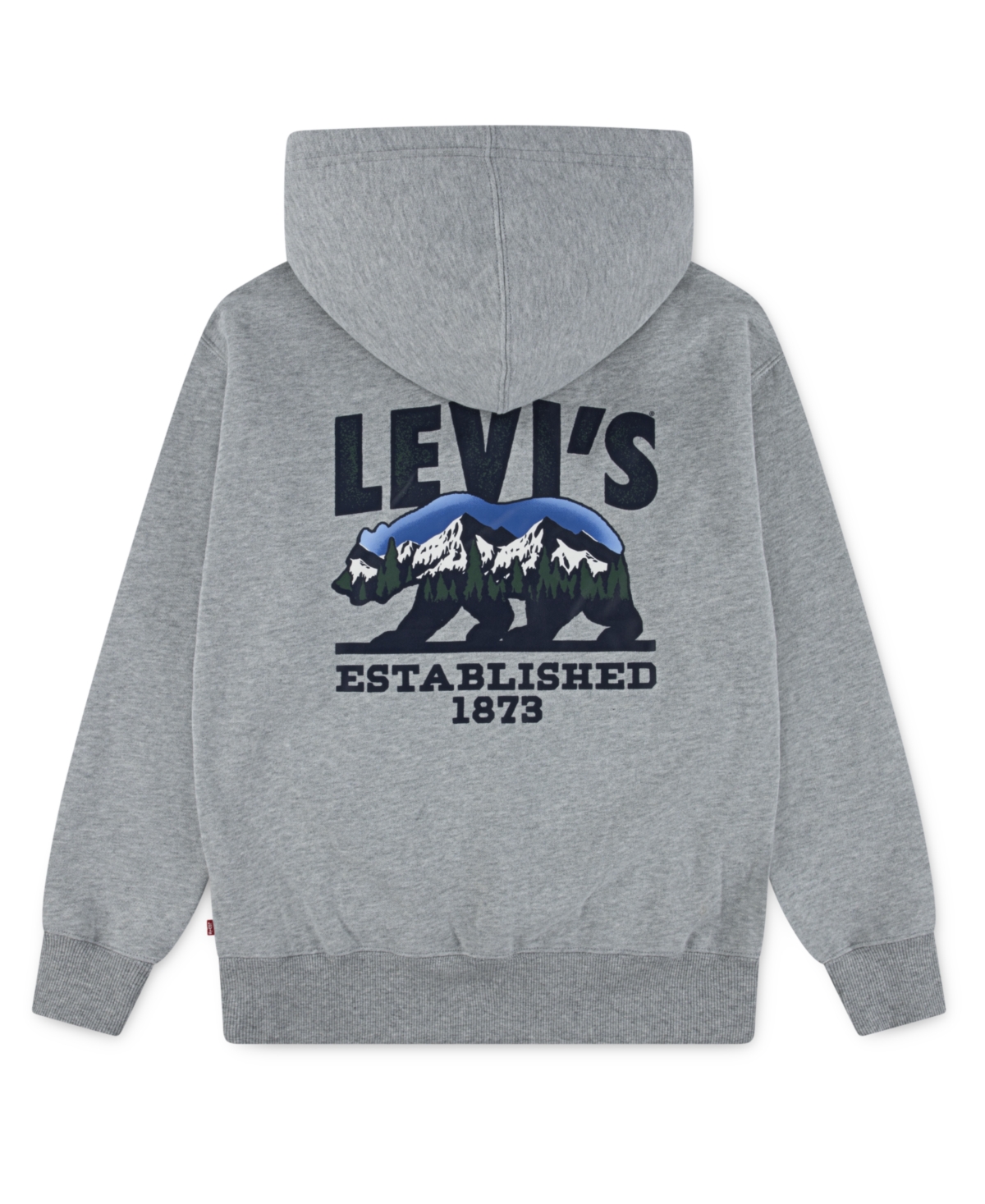 Levi's Boys 8-20 Winter Bear Pullover Hoodie In Gray