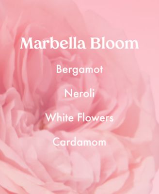 4-Pc. Scents of Paradise Hair and Body Mist Kit