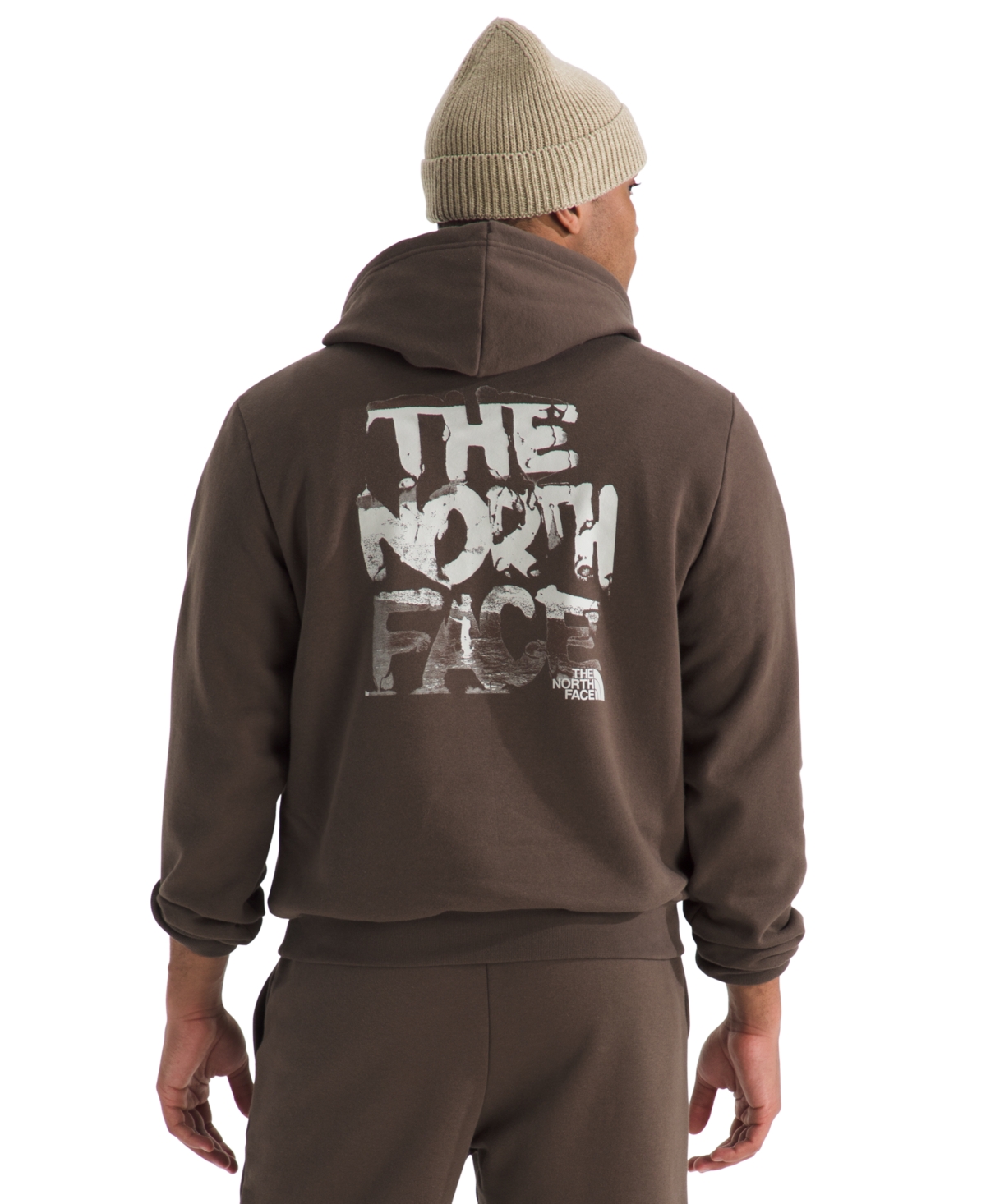 The North Face Men's Evolution Vintage Hoodie In Brown