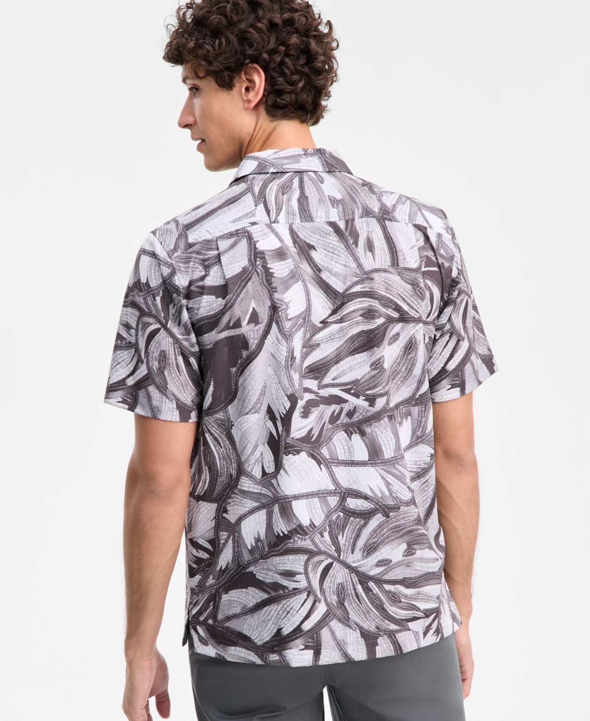 Bahama Coast Noir Fronds