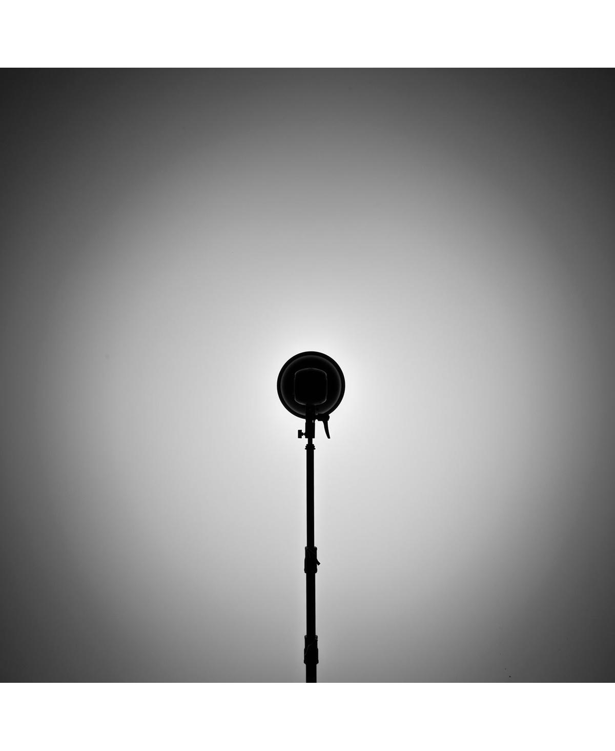 Westcott 70-Degree Wide Reflector with Honeycomb Grids, Bowens-Mount, Silver/Black