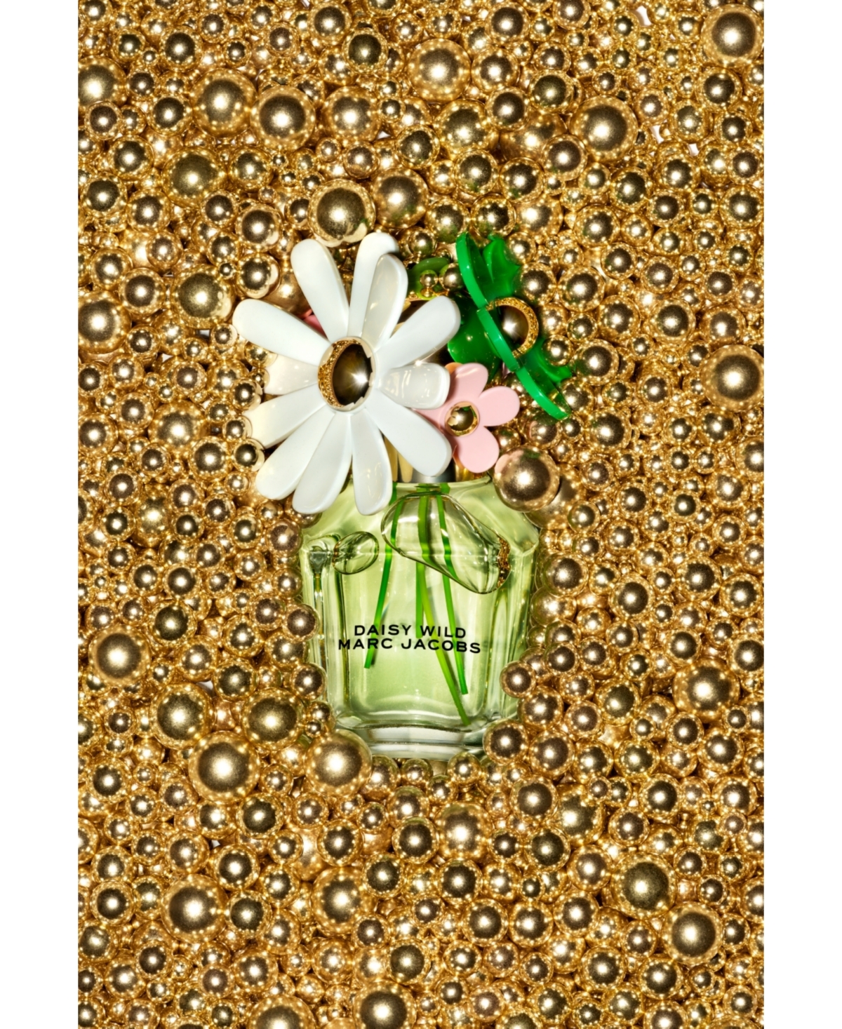 Marc Jacobs 2-pc. Daisy Wild Fragrance Gift Set In Transparent