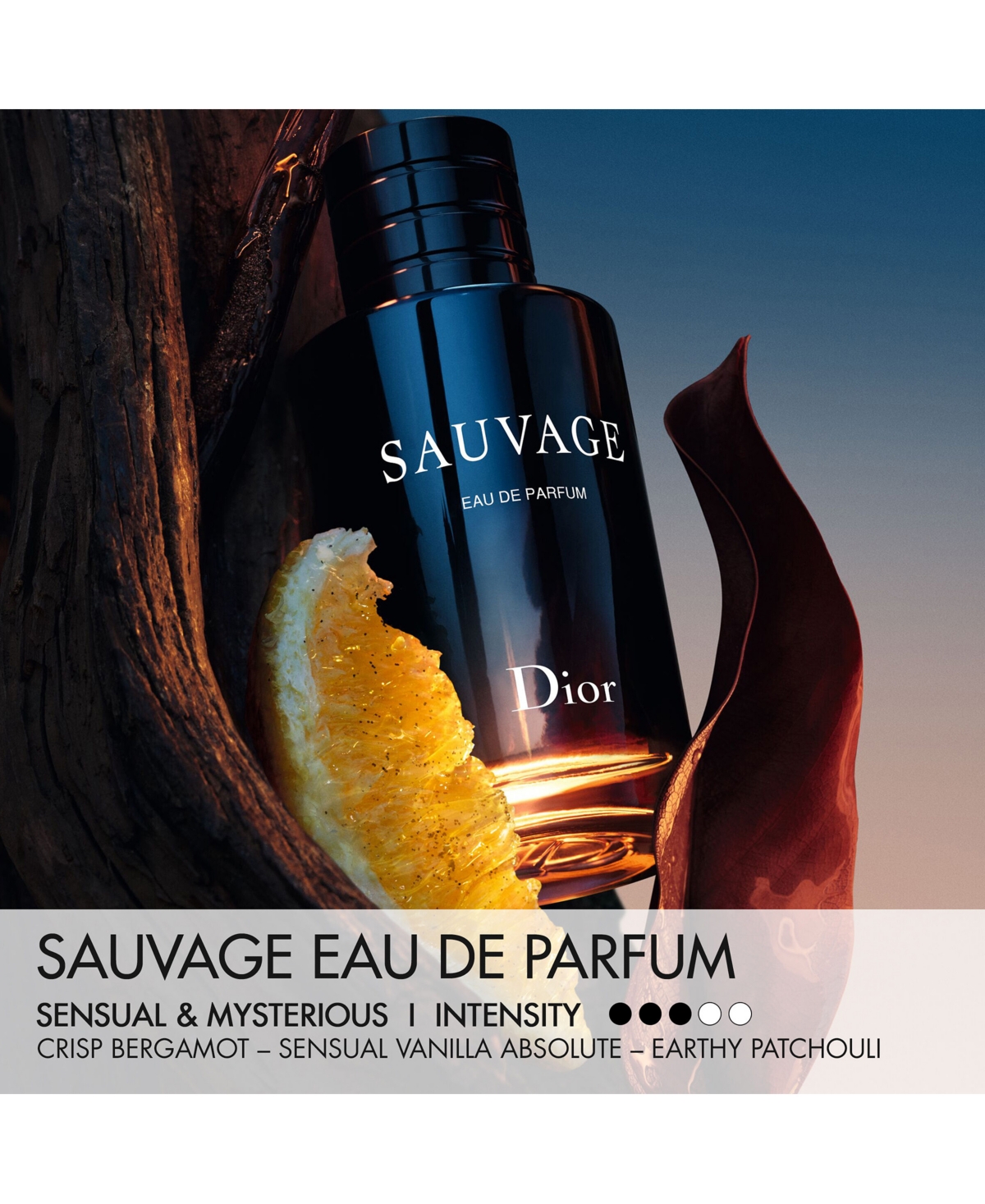 Dior Men's Sauvage Eau De Parfum Magnum Spray, 16.9 Oz. In Transparent