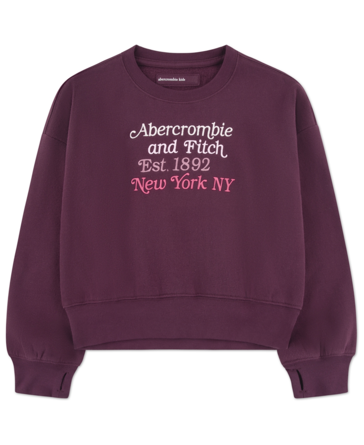 abercrombie kids Girls Multicolor Logo Crew Sweatshirt