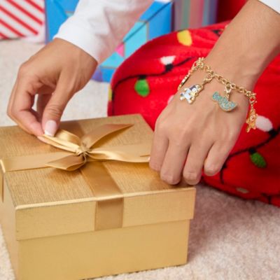 Charm Jewelry Advent Set with Necklace and Bracelet Chains Interchangable Charms