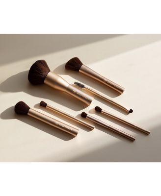 Professional Brush Collection