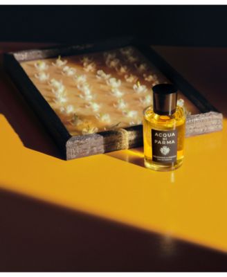 Gelsomino A Freddo Eau De Parfum Spray, 6 oz.