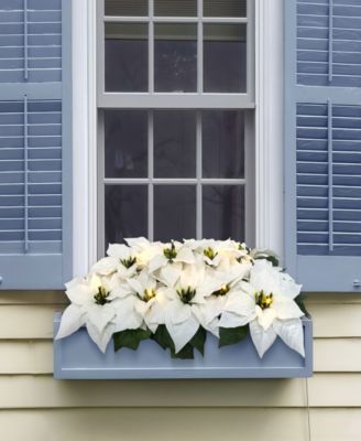 Puleo 24" Pre-Lit Artificial White Poinsettia Window Box D&eacute;cor