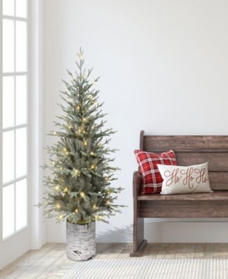 Puleo 4.5' Pre-Lit Artificial Potted Arctic Fir Tree