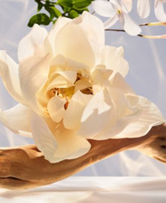 BVLGARI 2-Pc. Omnia Crystalline Eau De Parfum Gift Set