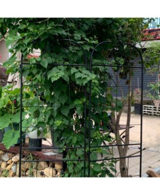 Metal Garden Trellis 2-Pack for Climbing Plants